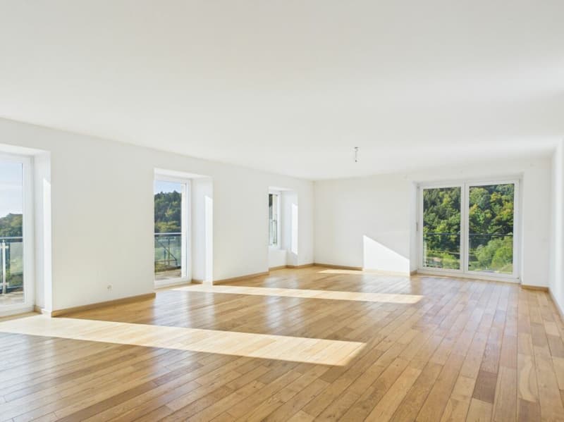 Appartement 4.5 pces (4)