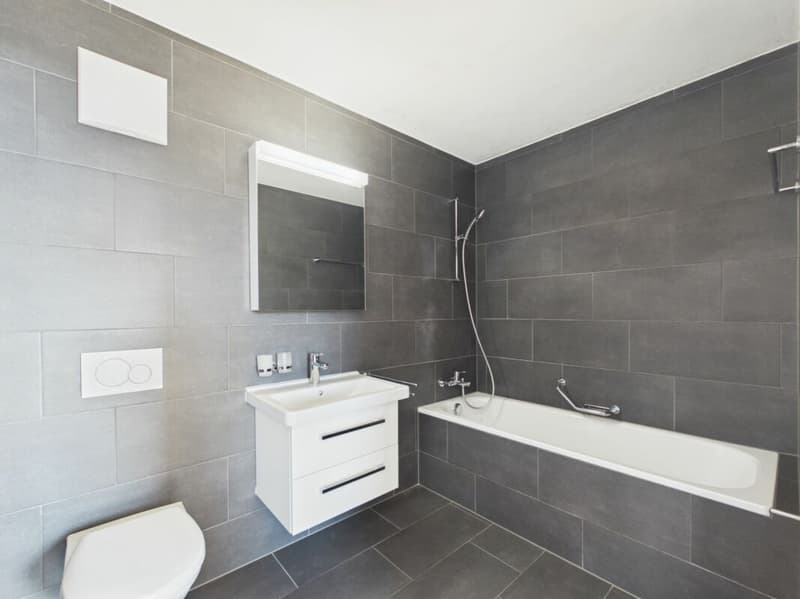Appartement 4.5 pces (7)