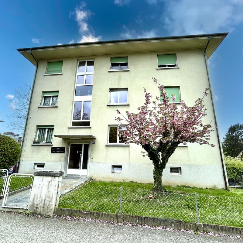 Appartement, 3.5 pièce(s) (1)