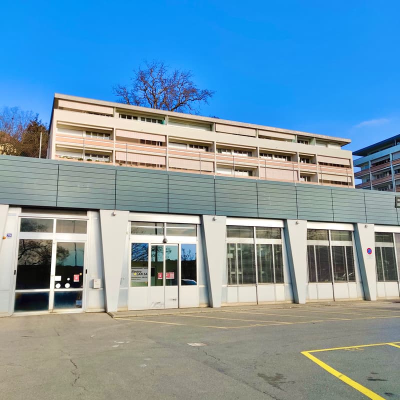 Parc intérieur (1)