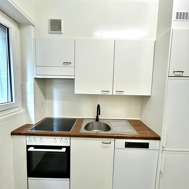 Appartement, 3.5 pièce(s) (4)