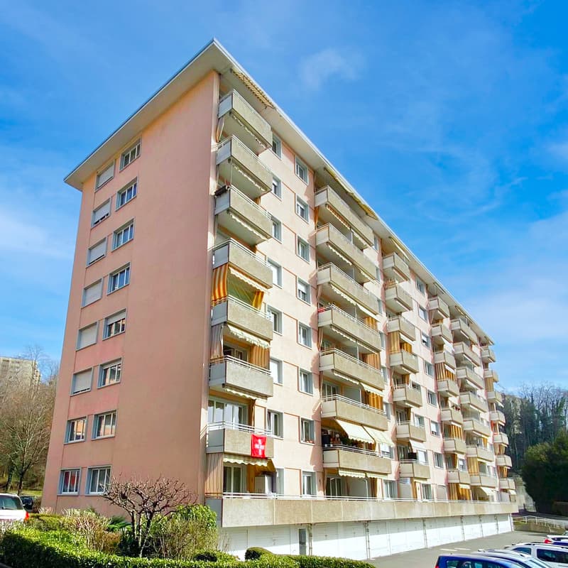 Appartement, 2.5 pièce(s) (1)
