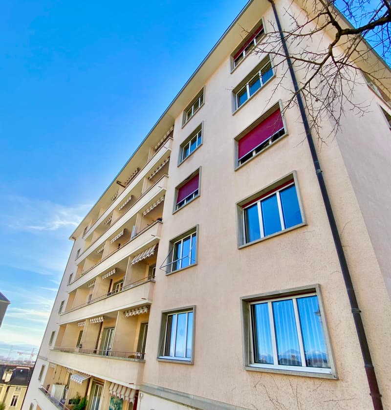 Appartement, 1.5 pièce(s) (1)