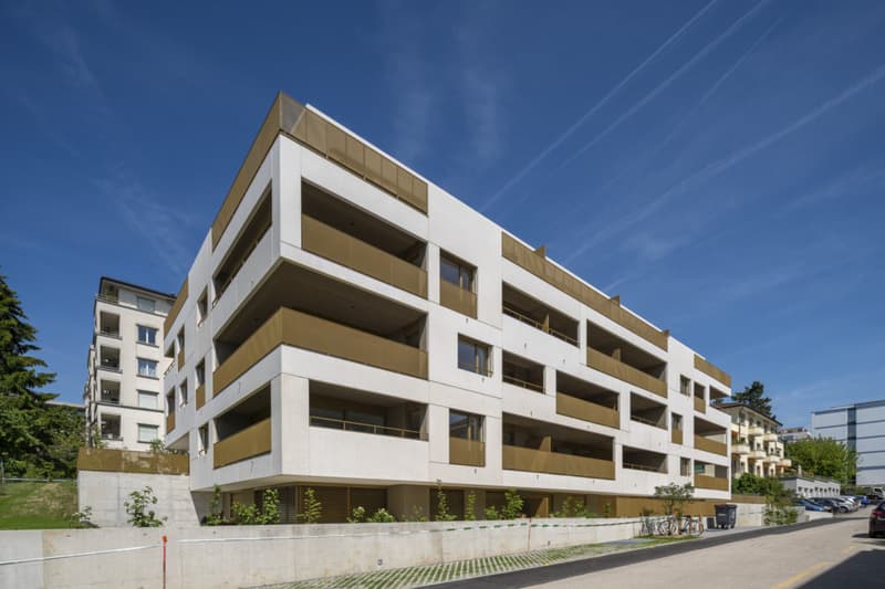 Appartement, 3.5 pièce(s) (5)
