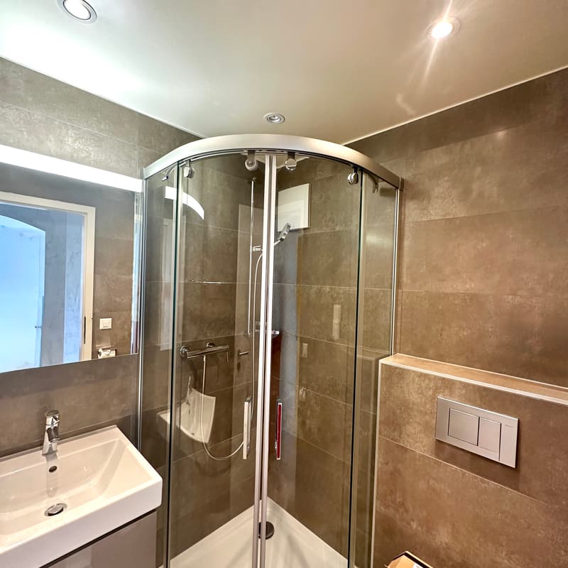 Appartement, 4.5 pièce(s) (10)