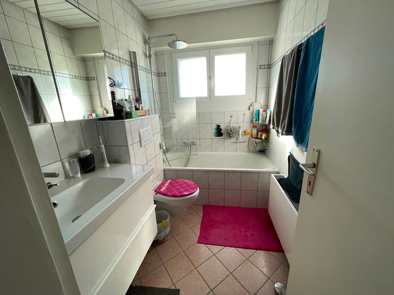 Appartement, 4.5 pièce(s) (9)