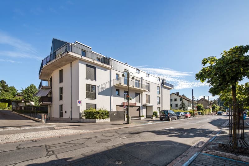 Appartement, 3.5 pièce(s) (1)