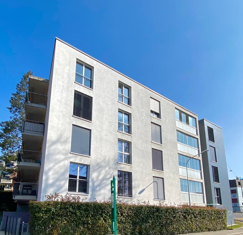 Appartement, 2.5 pièce(s) (1)