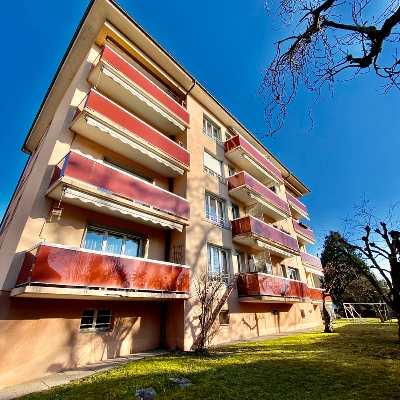 Appartement, 3.5 pièce(s) (1)