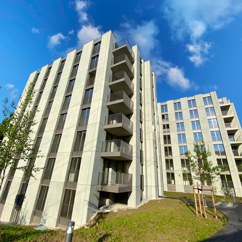Parc extérieur (1)