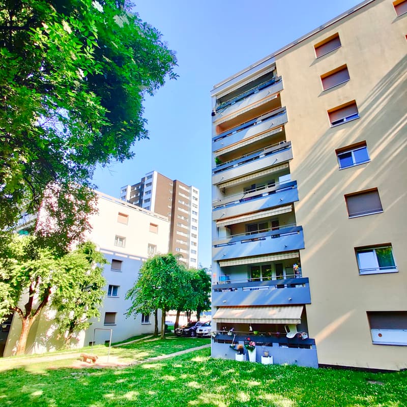 Parc extérieur (1)