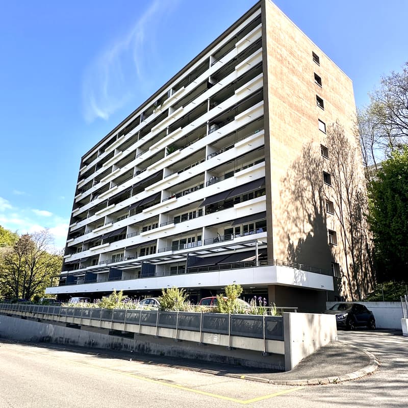 Appartement, 3.5 pièce(s) (1)