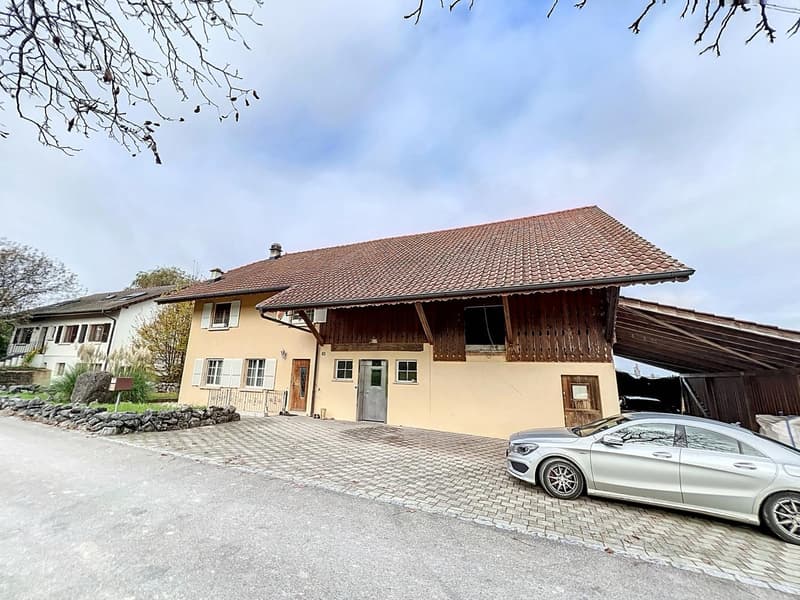 1564 Domdidier