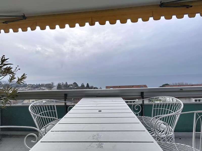 Magnifique appartement à Corseaux | Vue panoramique (4)