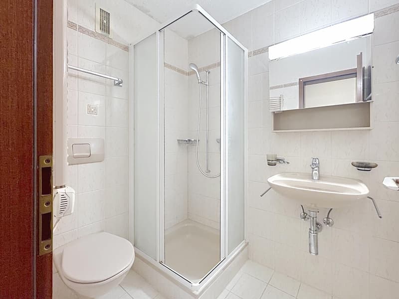 5,5 pièces au calme | Terrasse 100m2 | Savigny (11)