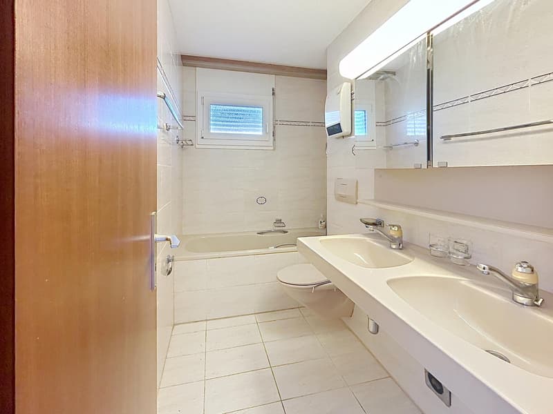 5,5 pièces au calme | Terrasse 100m2 | Savigny (12)