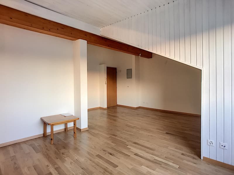 Grand Studio | Pérolles 59 (6)