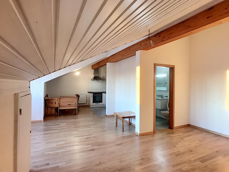 Grand Studio | Pérolles 59 (1)