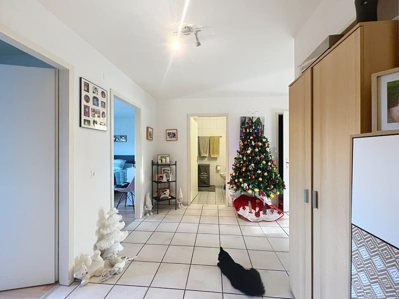 3.5 pièces lumieux | centre village (4)