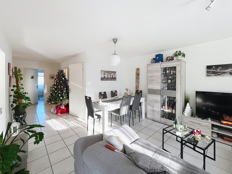 3.5 pièces lumieux | centre village (5)