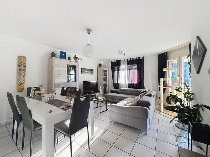 3.5 pièces lumieux | centre village (1)