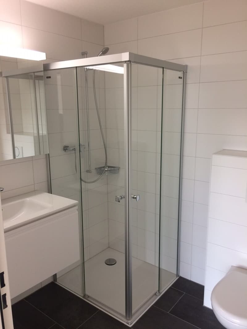 Moderne 4.5-Zimmer-Wohnung im Grünen! (6)
