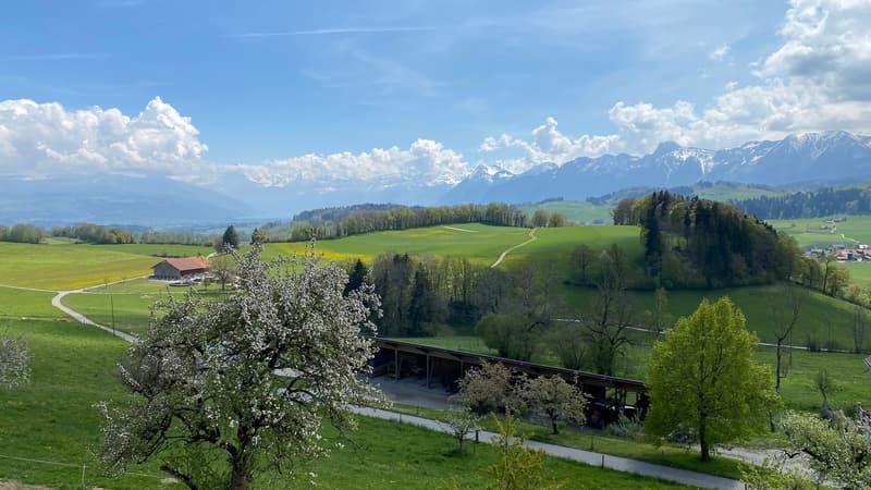 4.5-Zimmer-Wohnung an aussichtsreicher Lage (9)