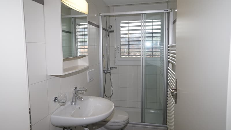 4.5 Zimmer Dachwohnung mit Galerie (6)