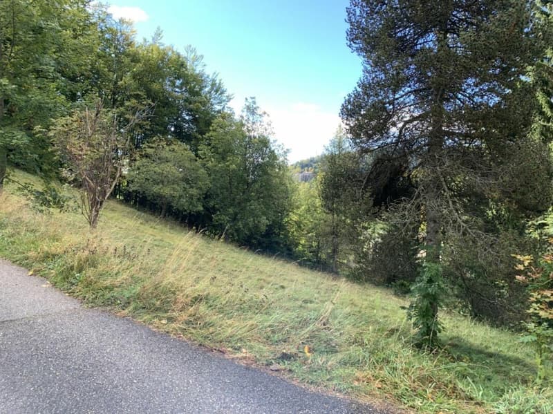 Terrain à St-Cergue (2)