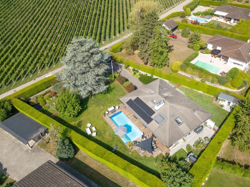 Detached house 5 rooms in Founex (1)