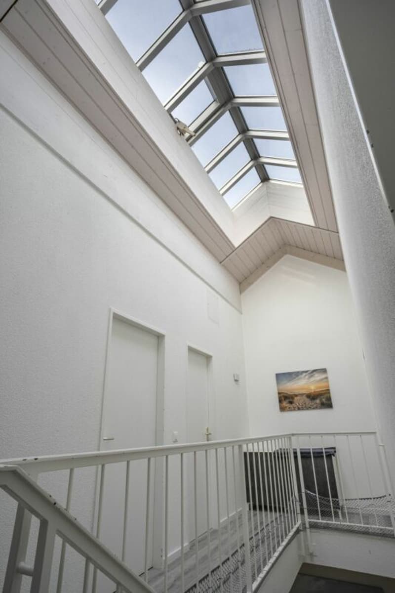Triplex + sous sol familial rénové (12)