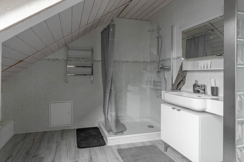 Triplex + sous sol familial rénové (5)