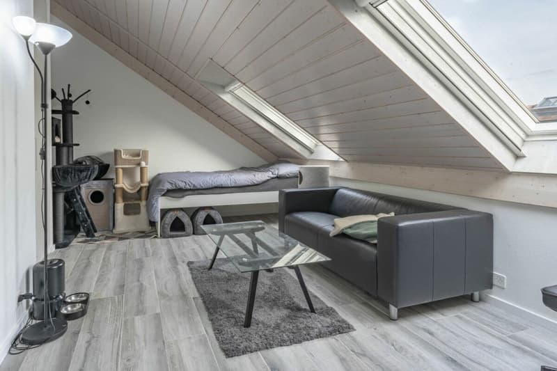 Triplex + sous sol familial rénové (9)