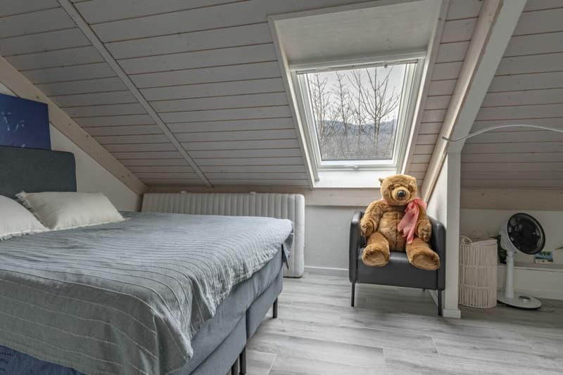 Triplex + sous sol familial rénové (8)