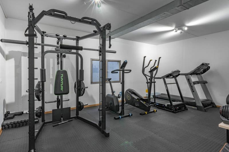 Triplex + sous sol familial rénové (10)