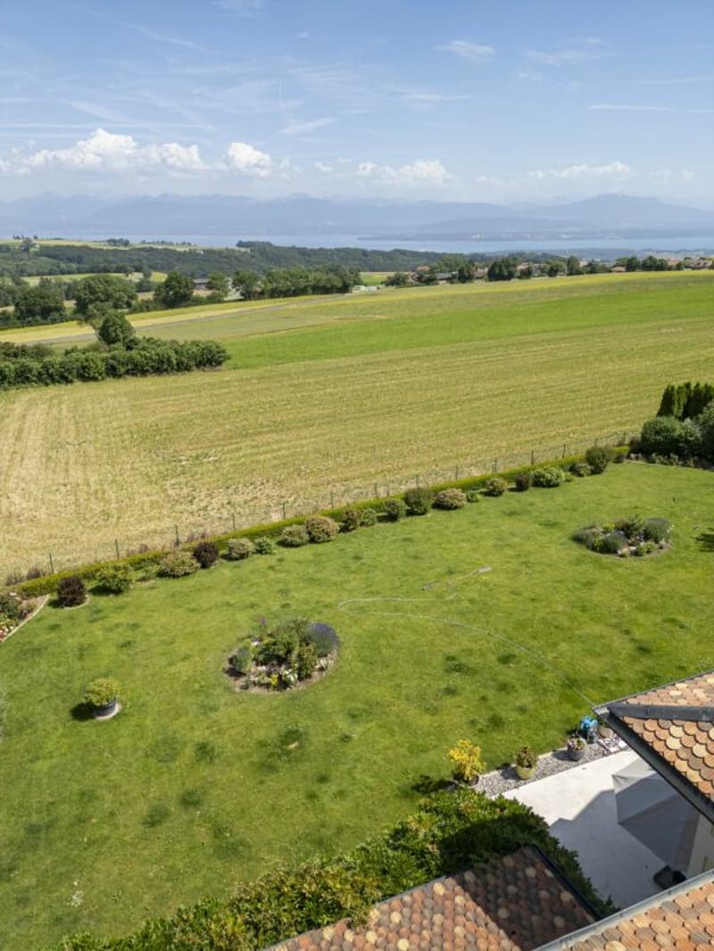 Propriété 13 pièces à Bassins (9)