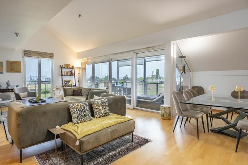 Attique en duplex (12)
