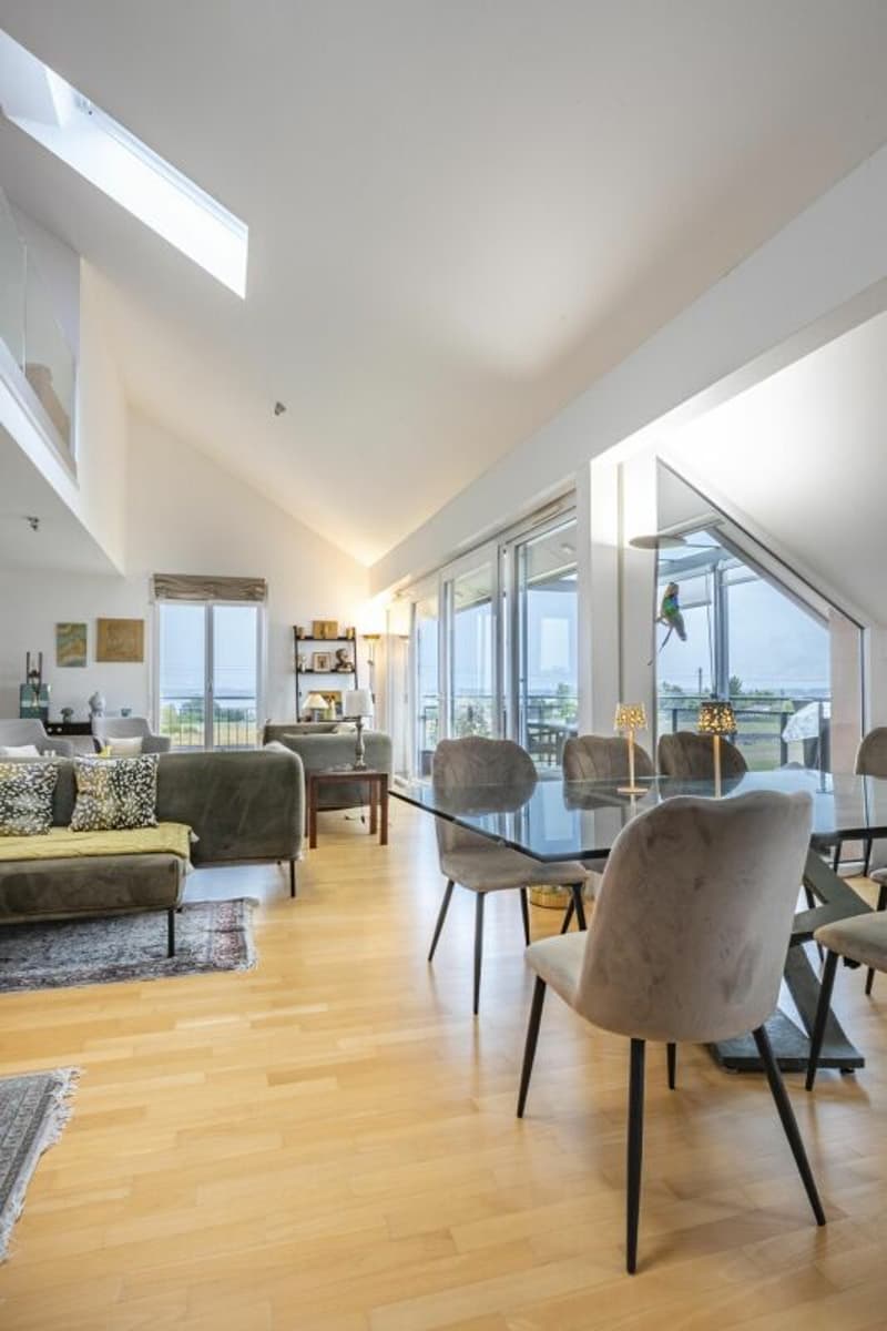 Attique en duplex (6)