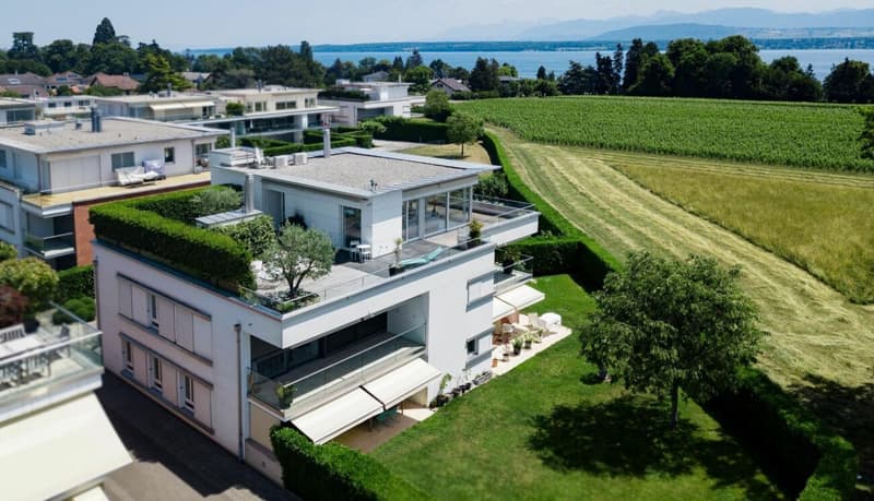 Hotel particulier avec grande terrasse vue sur le lac (1)