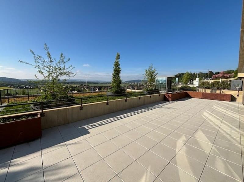 4½-Zimmer-Terrassenhaus mit Aussicht auf Alpen und Aarelandschaft (8)