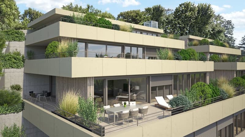 4½-Zimmer-Terrassenhaus mit Aussicht auf Alpen und Aarelandschaft (3)