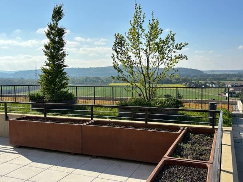 4½-Zimmer-Terrassenhaus mit Aussicht auf Alpen und Aarelandschaft (9)