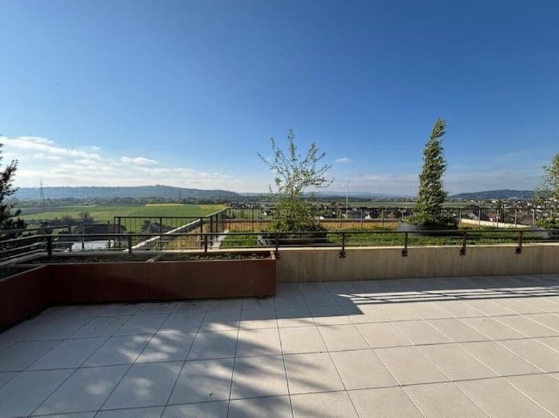 4½-Zimmer-Terrassenhaus mit Aussicht auf Alpen und Aarelandschaft (10)