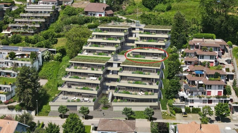 4½-Zimmer-Terrassenhaus mit Aussicht auf Alpen und Aarelandschaft (1)