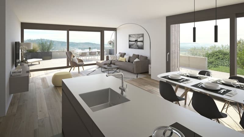 4½-Zimmer-Terrassenhaus mit Aussicht auf Alpen und Aarelandschaft (5)