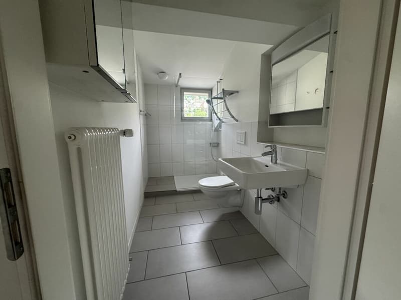 Appartement mansardé de 3½ pièces dans une villa située dans un quartier calme et central (6)