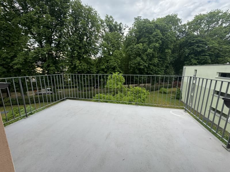 Appartement mansardé de 3½ pièces dans une villa située dans un quartier calme et central (12)