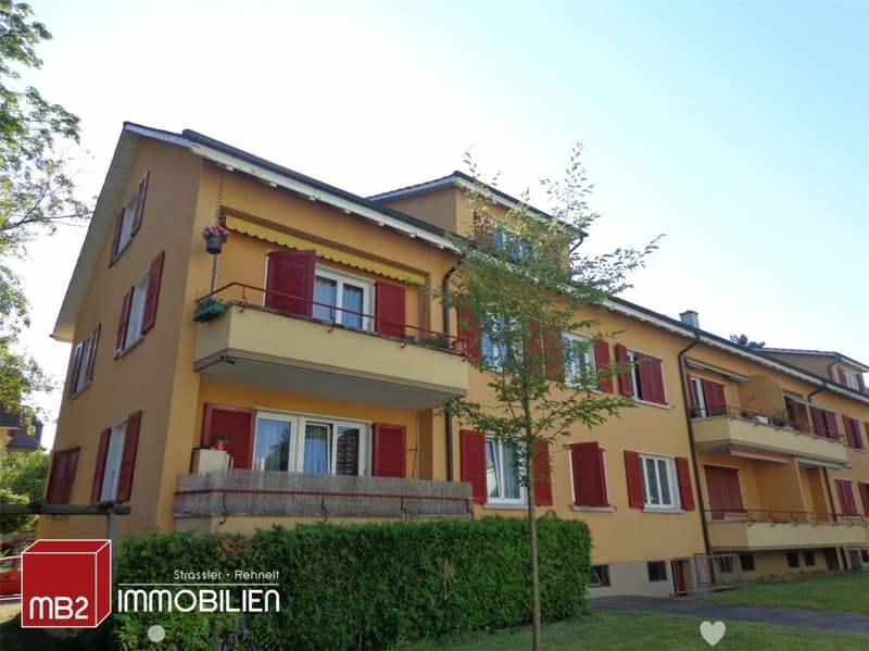 Schöne Genossenschaftswohnungen mit Balkon zu vermieten / Joli appartement d'une coopérative avec balcon à louer (1)