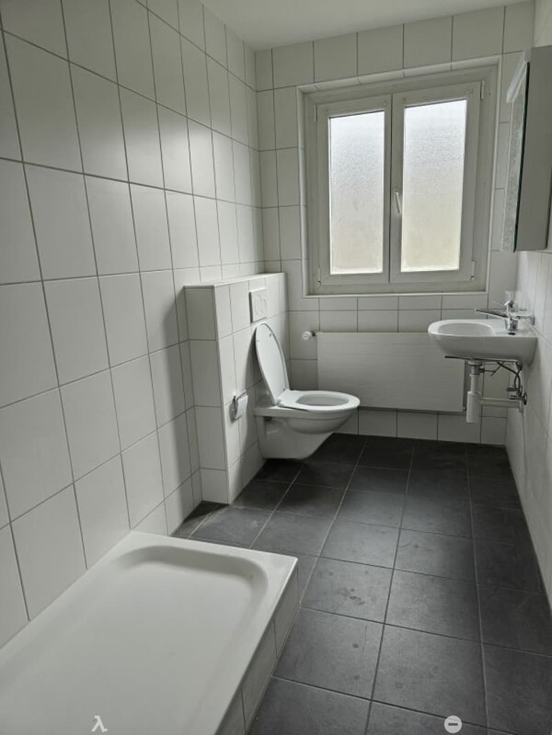 Schöne Genossenschaftswohnungen mit Balkon zu vermieten / Joli appartement d'une coopérative avec balcon à louer (4)