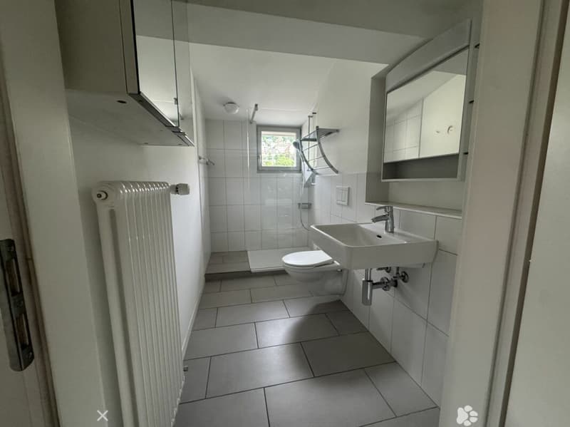 3½-Zimmer-Dachwohnung in einer Villa an ruhiger, zentraler Lage (6)